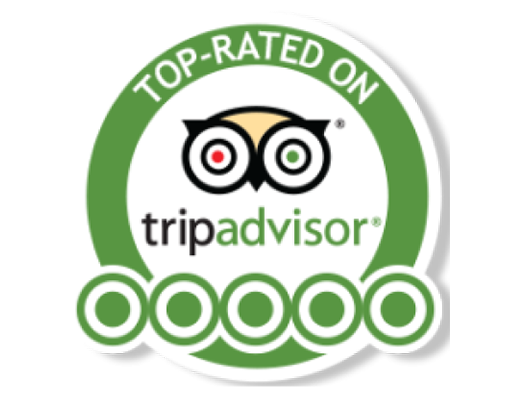 trip-advisor